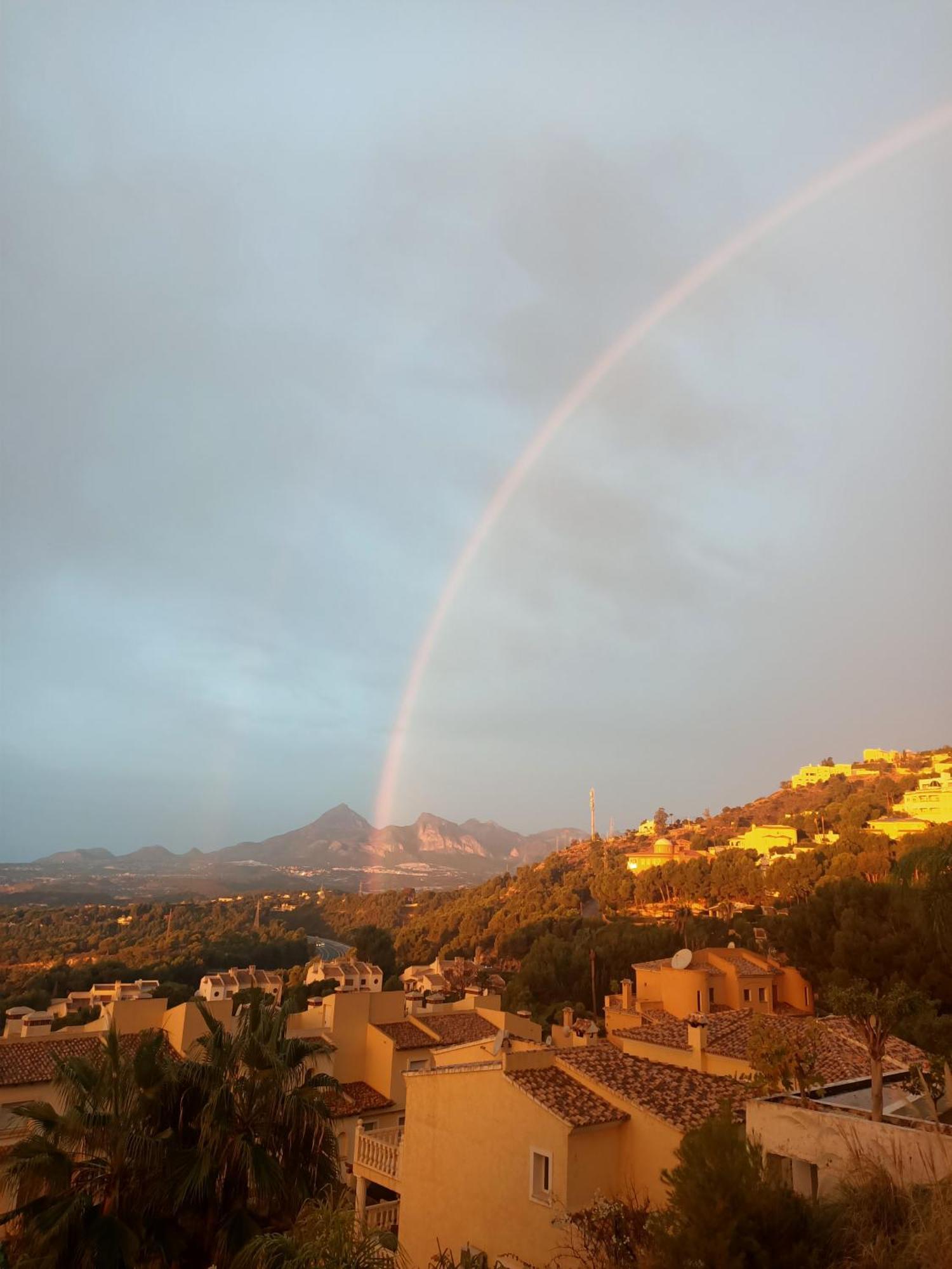 Wonderful Seaviews Only Adults Διαμέρισμα Αλτέα Εξωτερικό φωτογραφία
